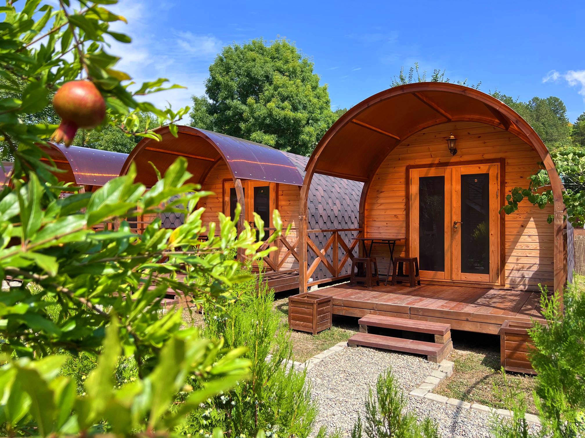 Фото Надежда