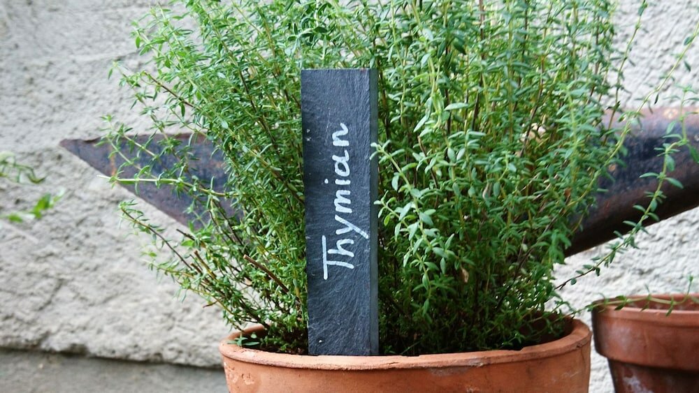 Фото Familiengut Ertlhof