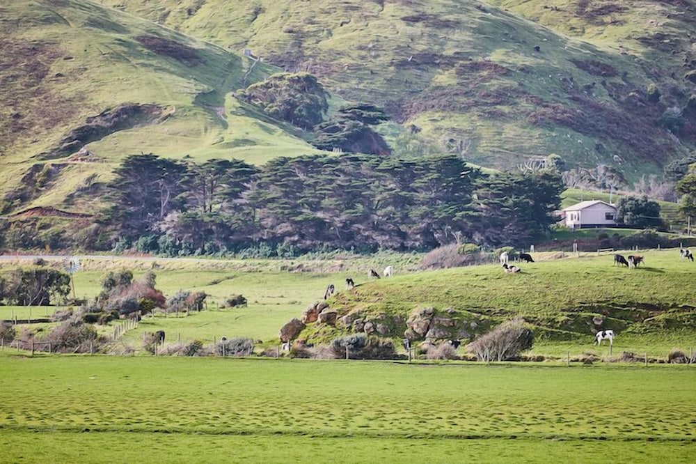 Фото Great Ocean Walk Retreat