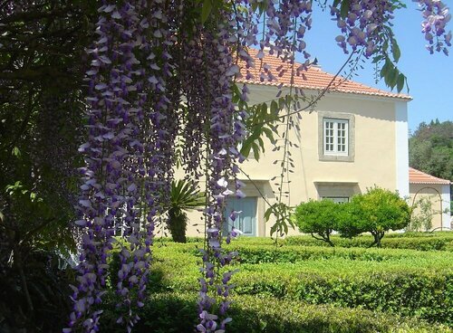 Гостиница Quinta do Scoto