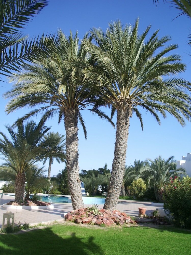 Фото Menzel Dija