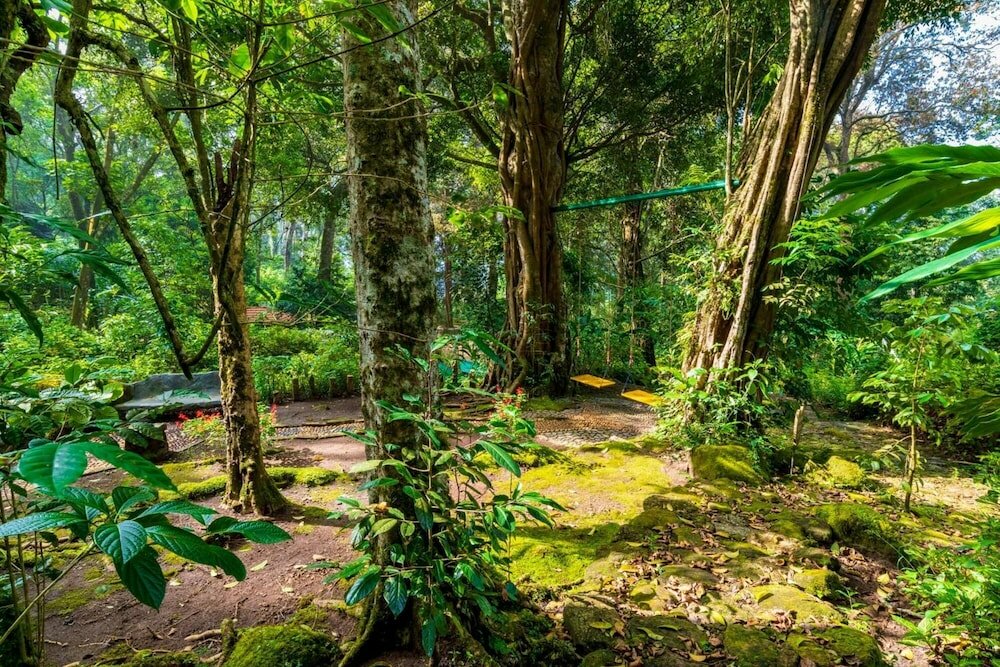 Фото The Tall Trees Munnar