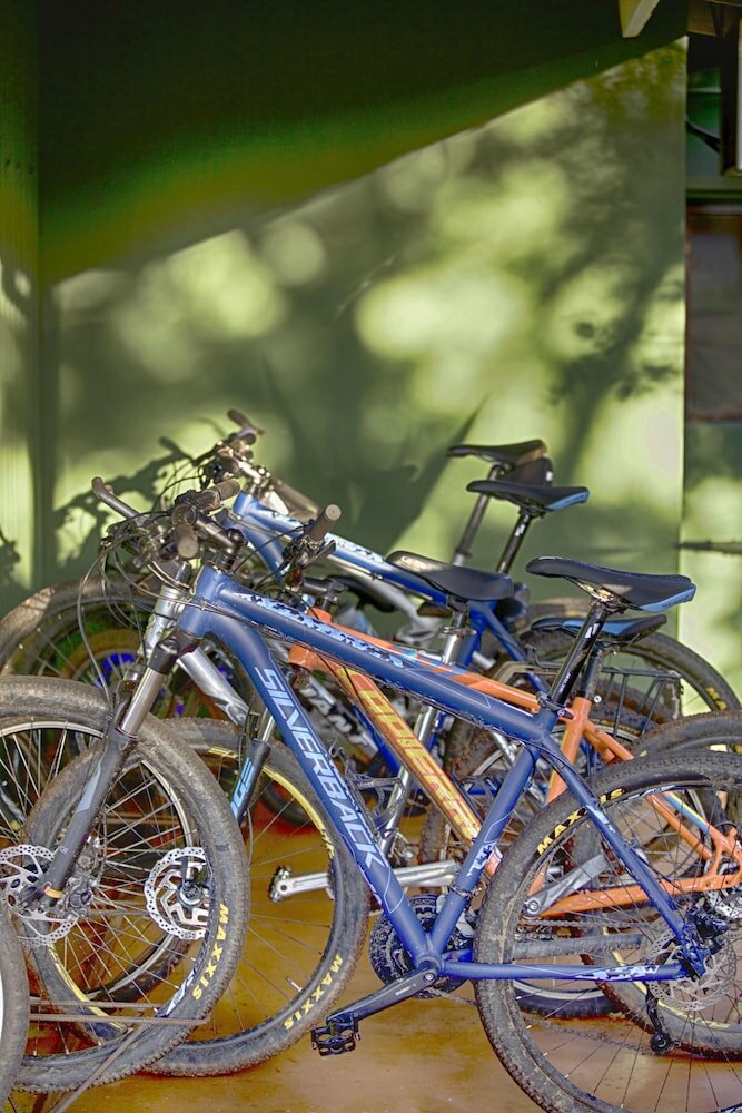 Фото Three Tree Hill