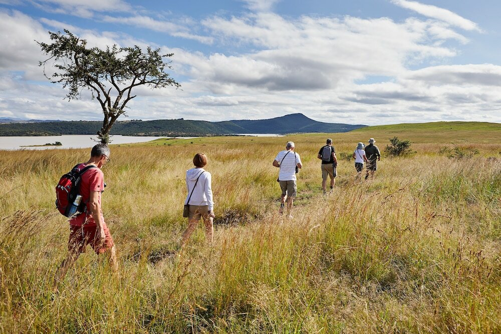 Фото Three Tree Hill