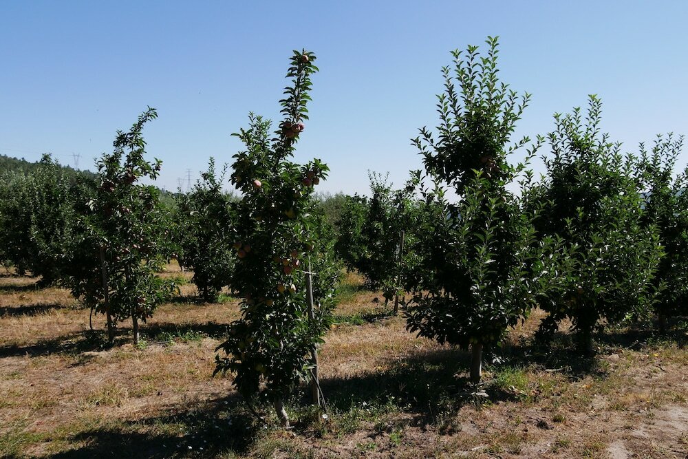Фото Outros Tempos Turismo De Aldeia