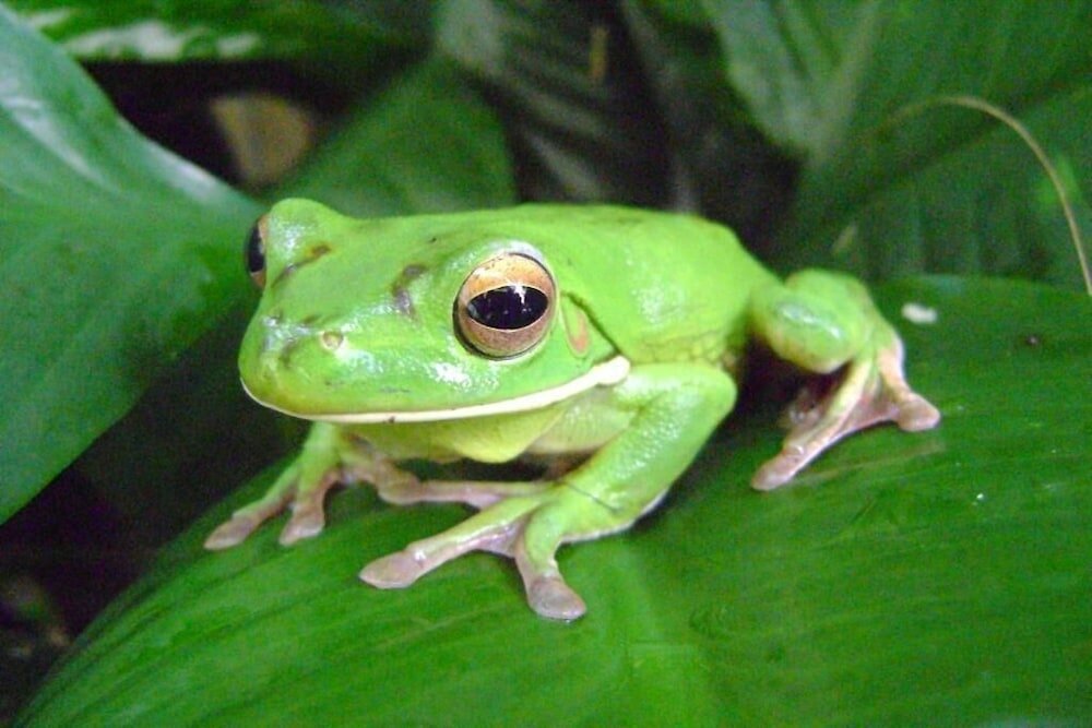 Фото The Beach Place