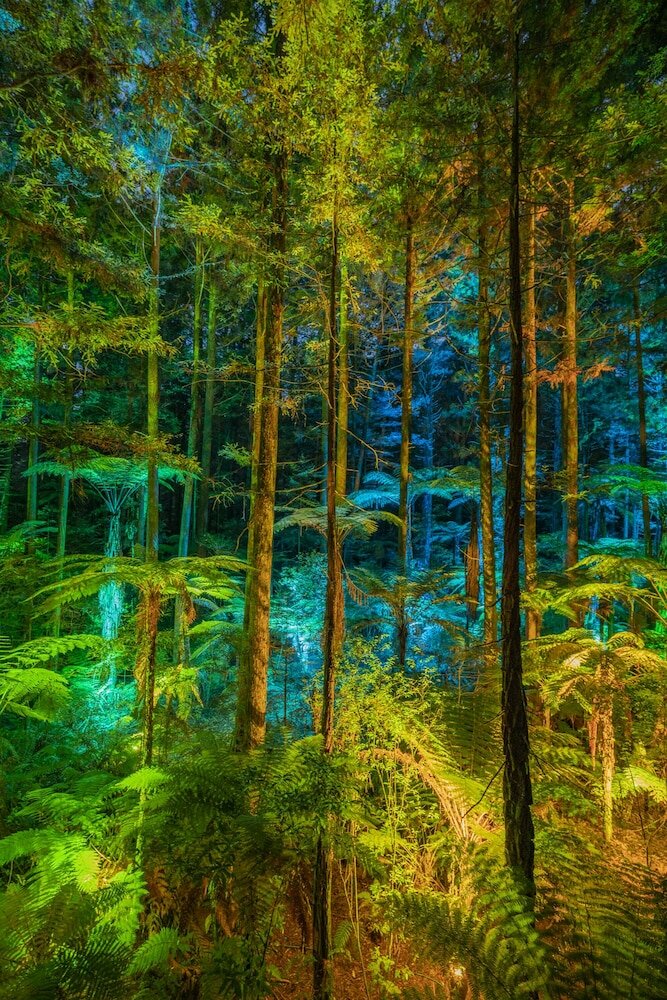 Фото Silver Fern Rotorua Suites & SPA