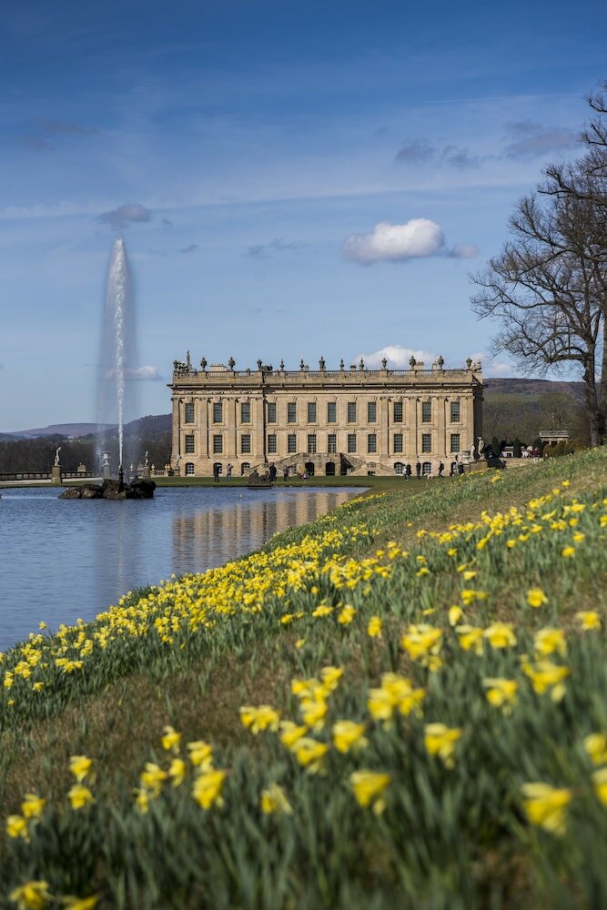 Фото 45846336664