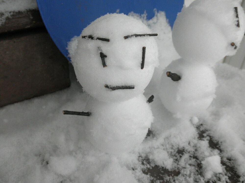 Фото Okuyama Pension Radish