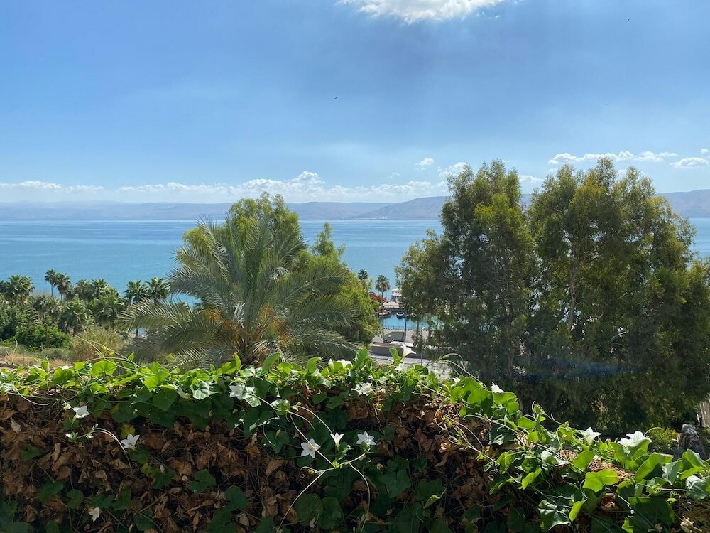 Фото Dona Castle