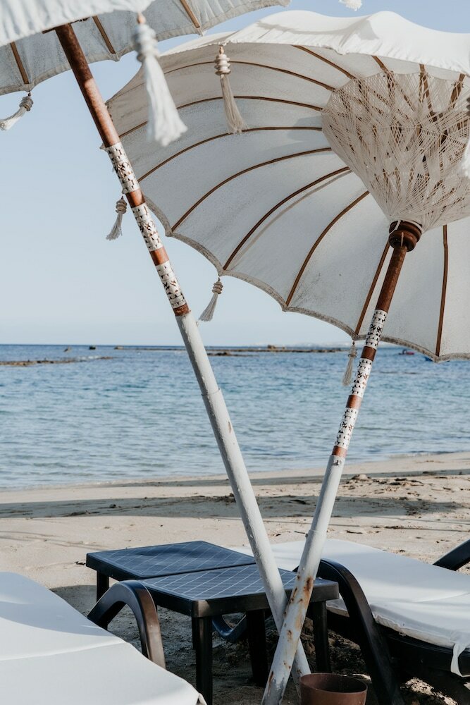 Фото Отель Аркин Палм Бич