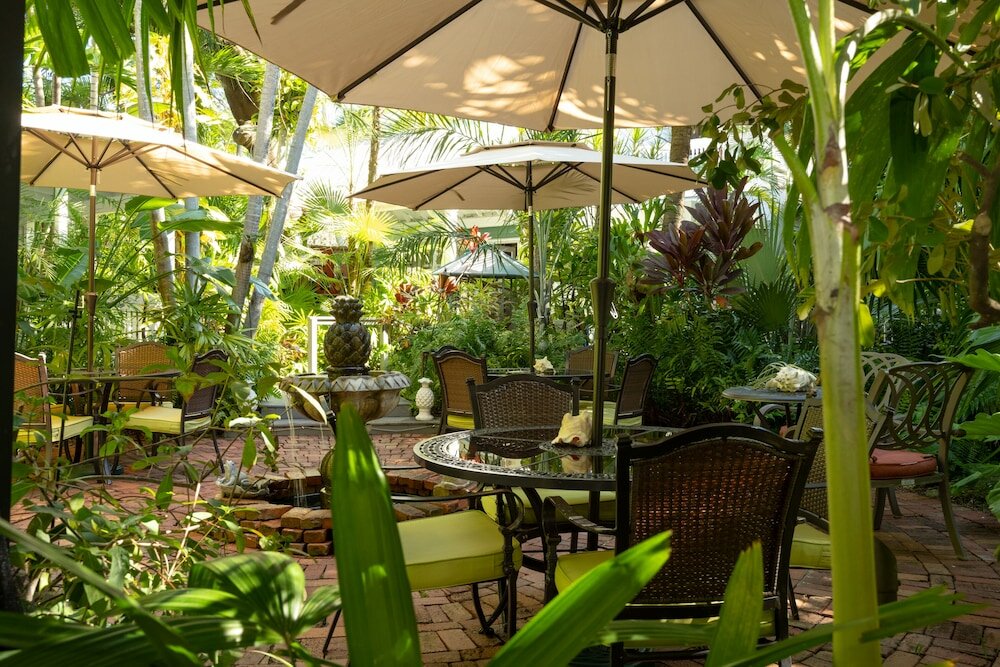 Фото The Mermaid & Alligator