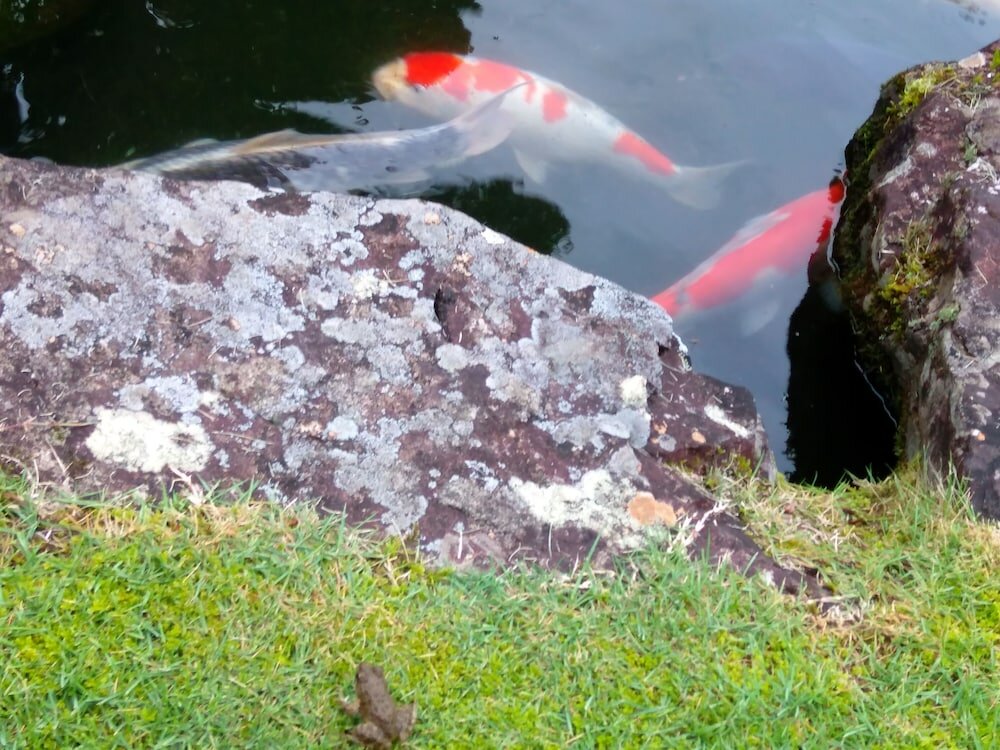 Фото Nouka Minshuku Kajika