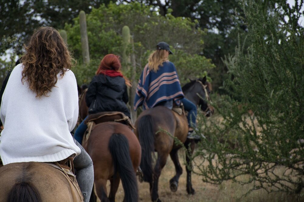 Фото Hacienda Histórica Marchigüe