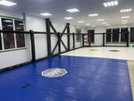 Кугуар mma (Vostochnaya Street, 242), sports club