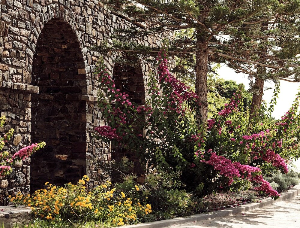 Фото The Royal Blue