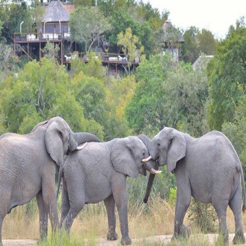 Гостиница Leopard Hills
