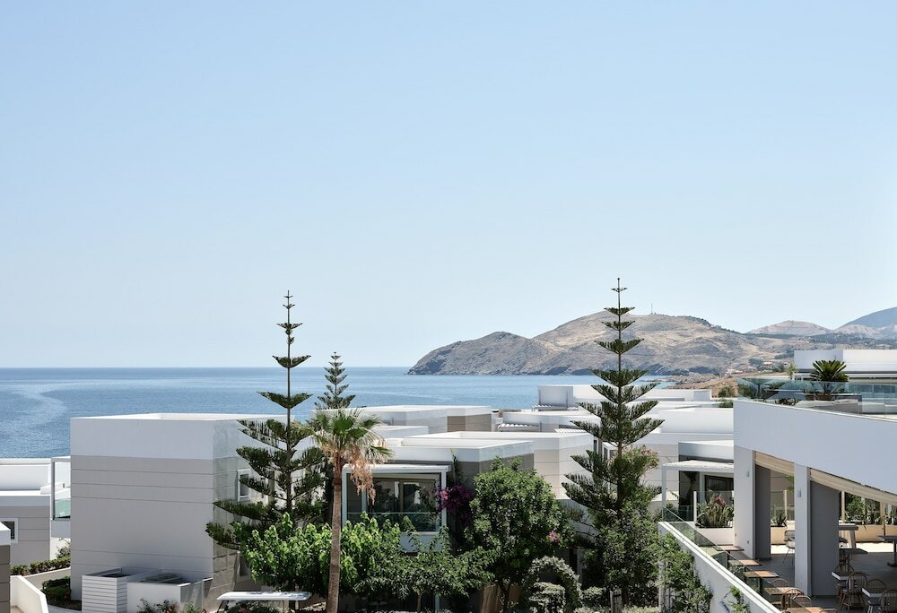 Фото The Royal Blue