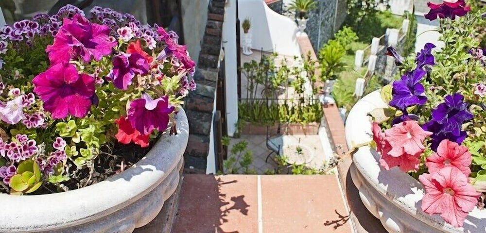 Фото Villa Palumbo