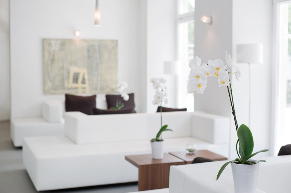 Фото Hotel Constantia