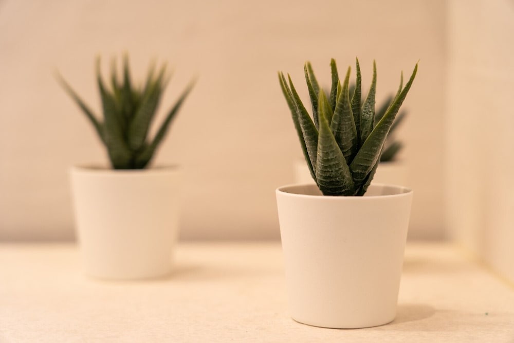 Фото Mirablue Luxury Residences