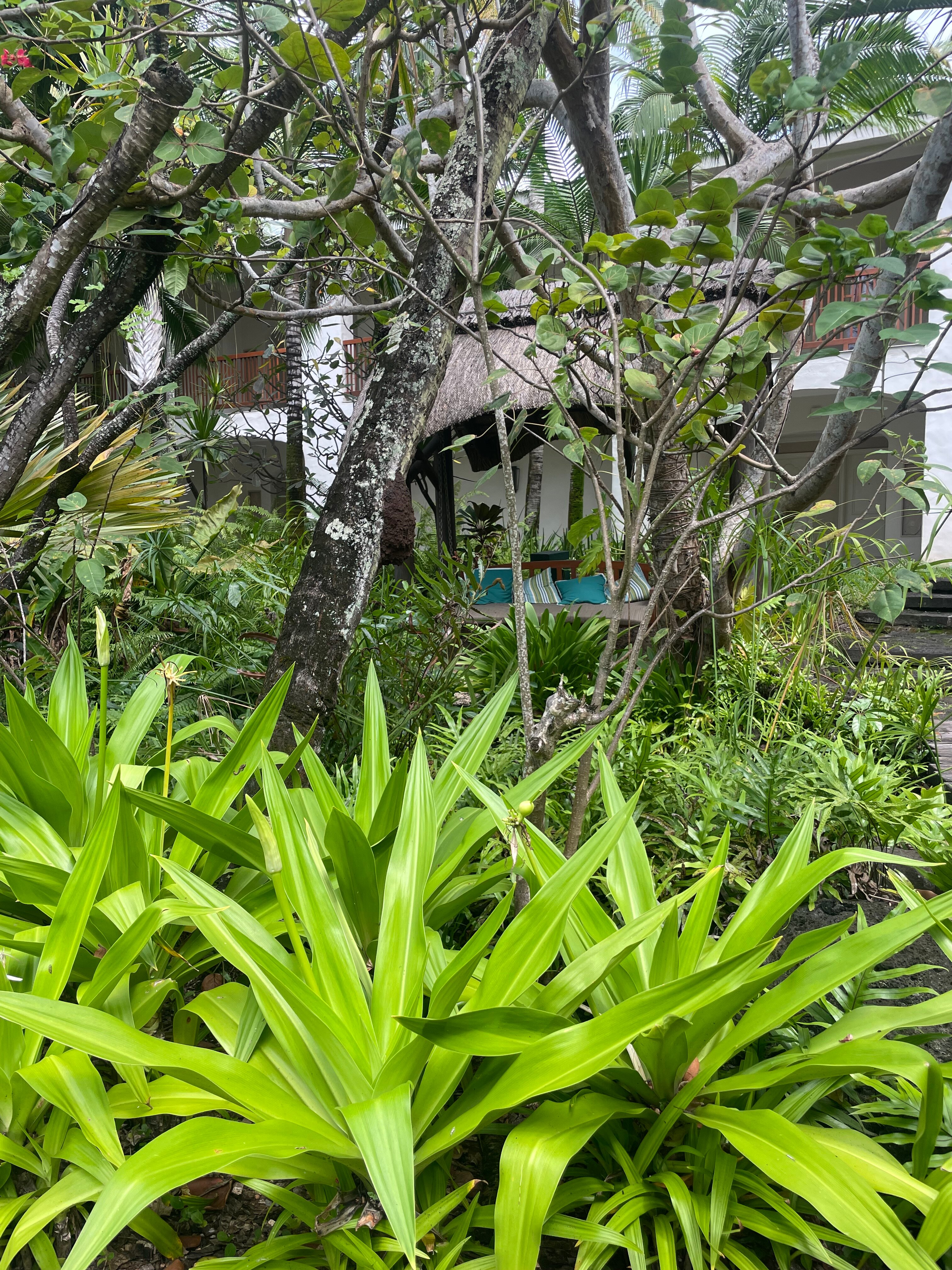 Фото One&Only Le Saint Géran