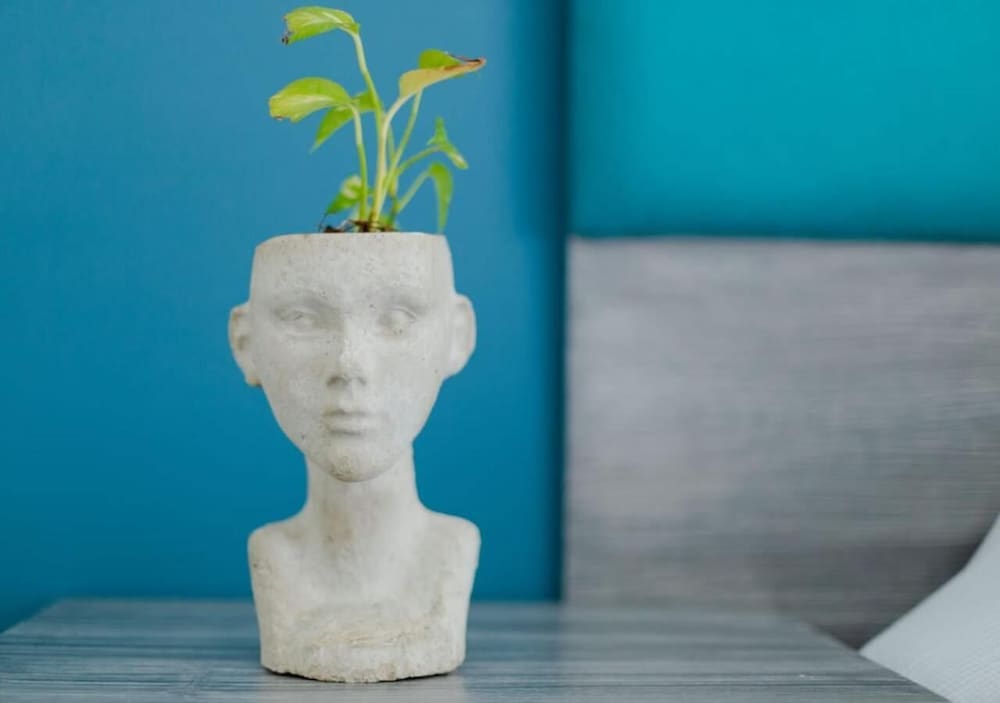 Фото Studiotel Cancún