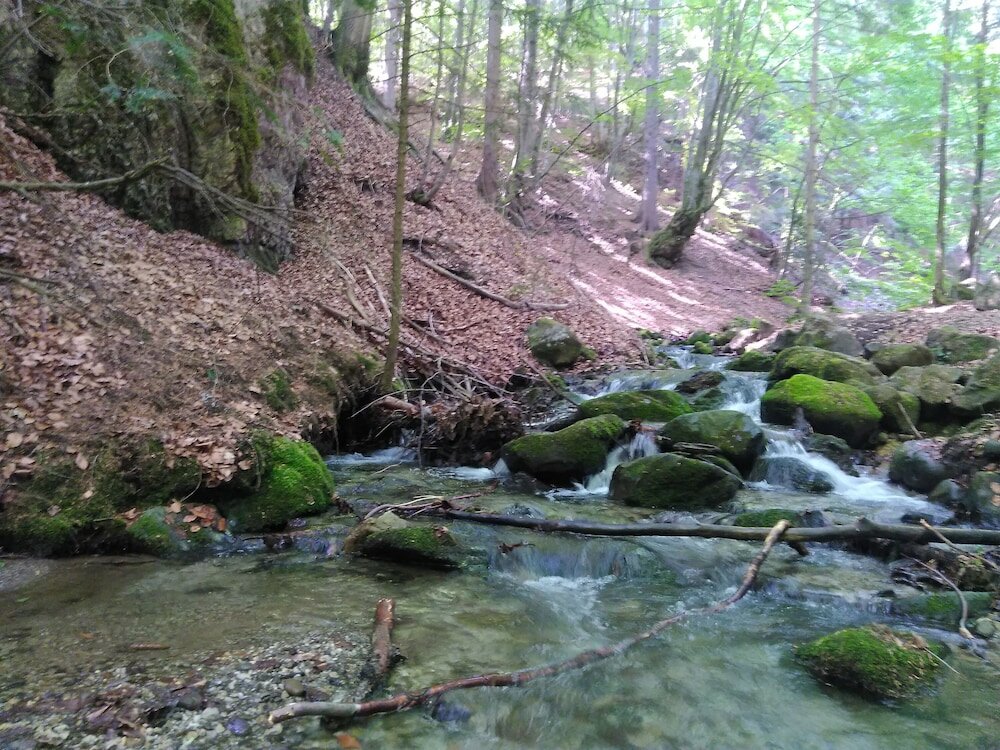 Фото Ski-Lake Cottage Nízke Tatry