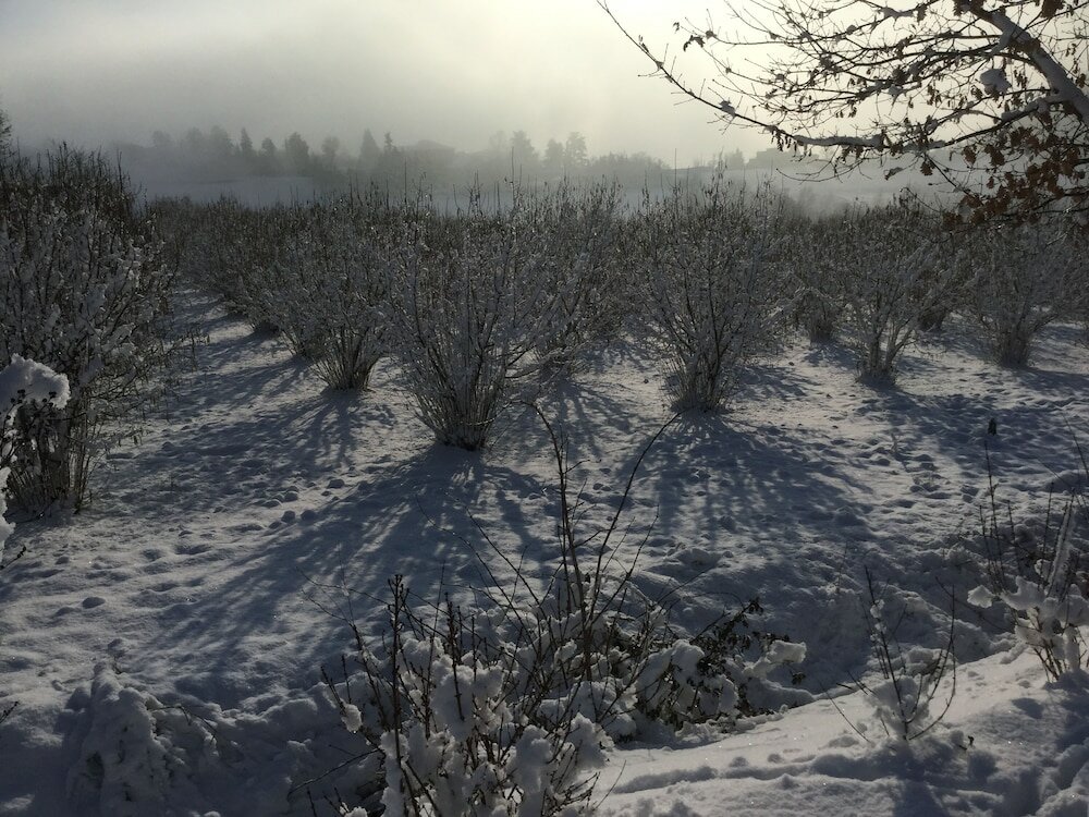 Фото B&b Le Piote