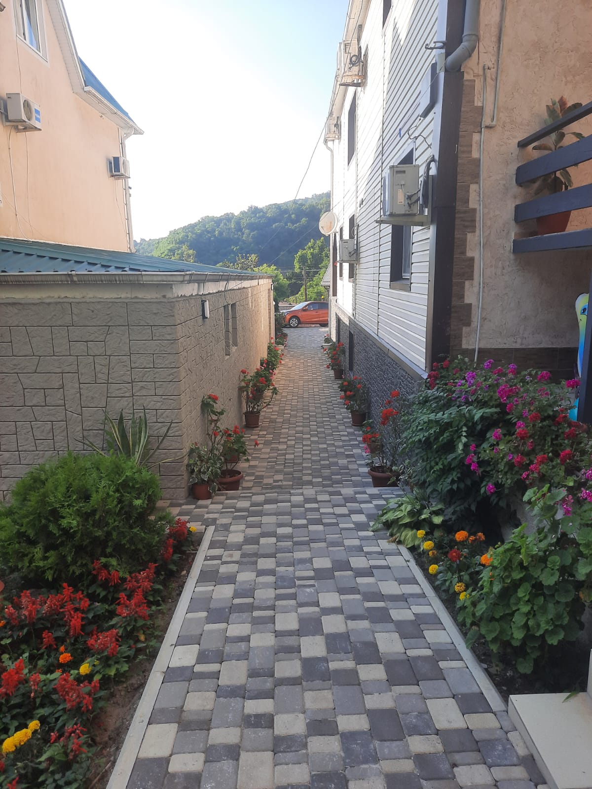 Фото у Нателлы