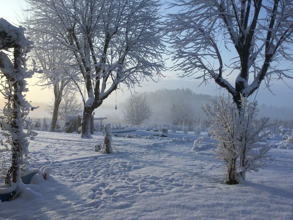 Фото B&b Le Piote