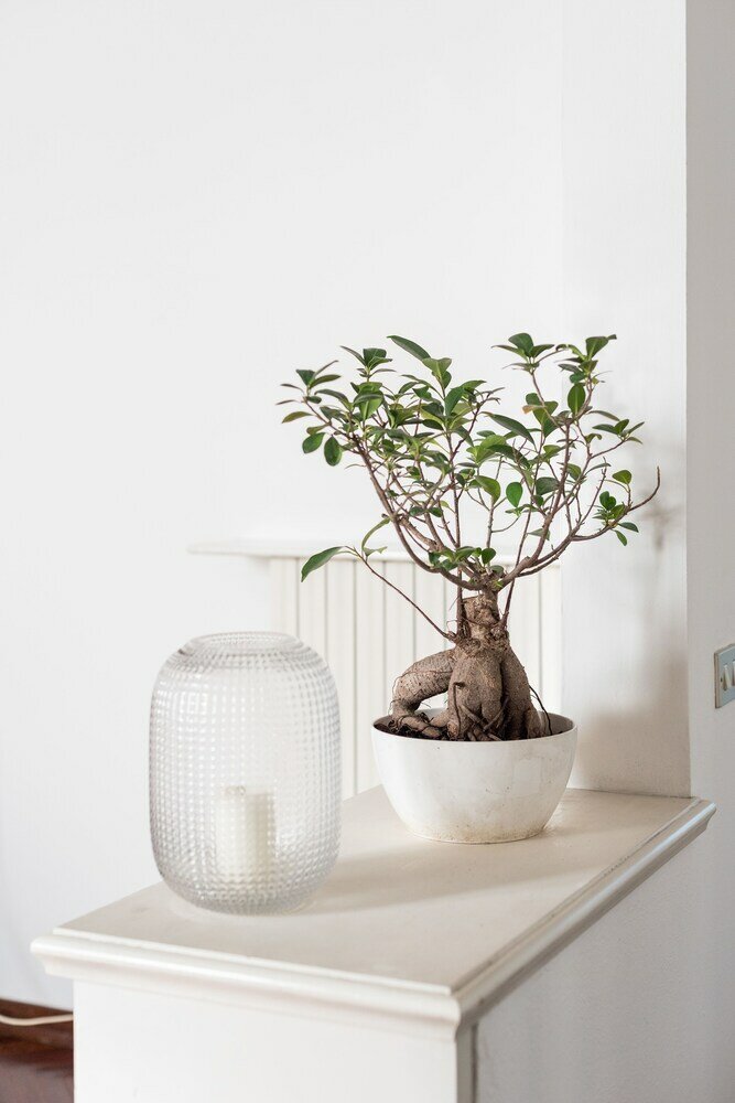 Фото Leopolda Dream Beautiful Apartment Sleeps 5