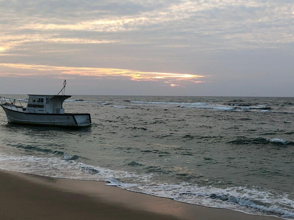 Фото Dasu's Restaurant & Villa