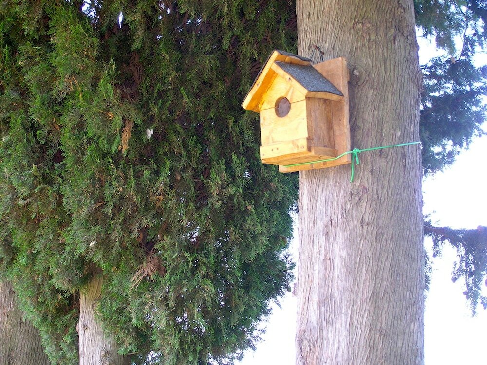 Фото Agriturismo Fattoria La Prugnola