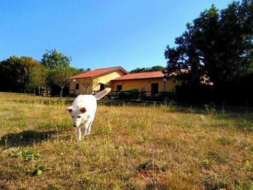 Гостиница Agriturismo Radovic