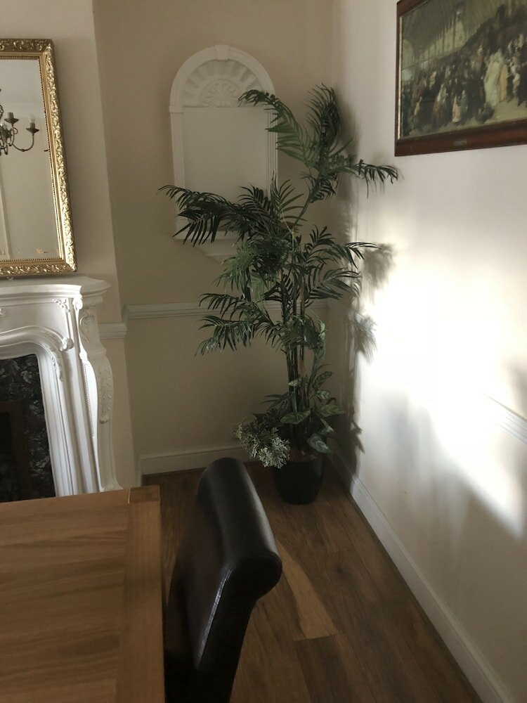 Фото The Rhinos 2