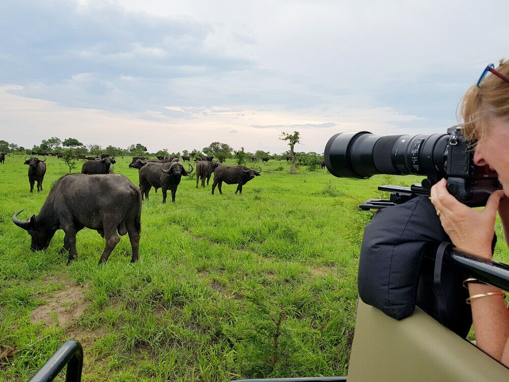 Фото Distinctly Africa - Manyeleti