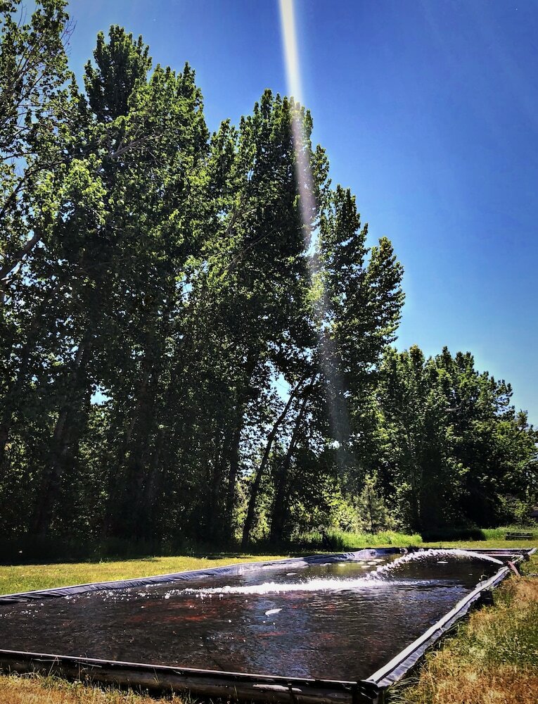 Фото Hannon House