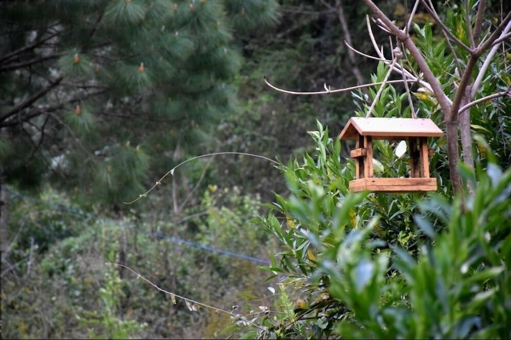 Фото Nainital River Camp