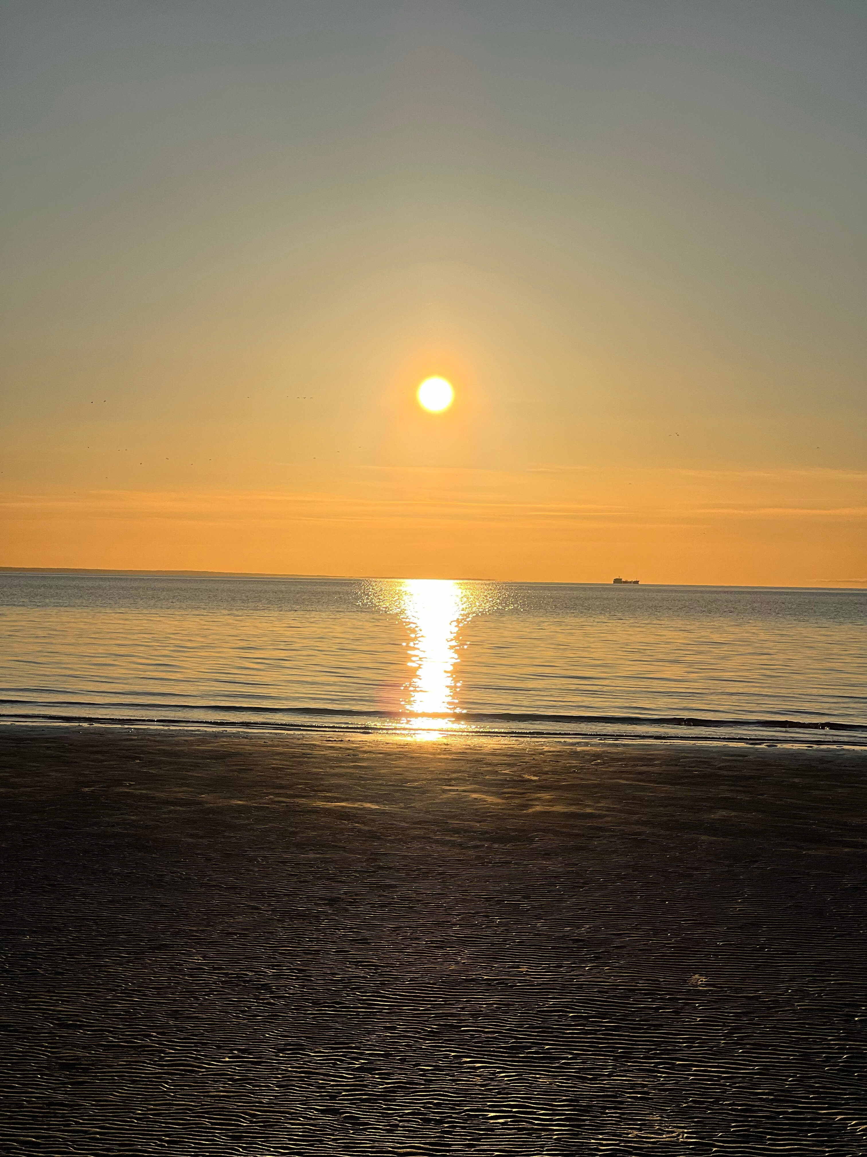 Фото Эрмитаж