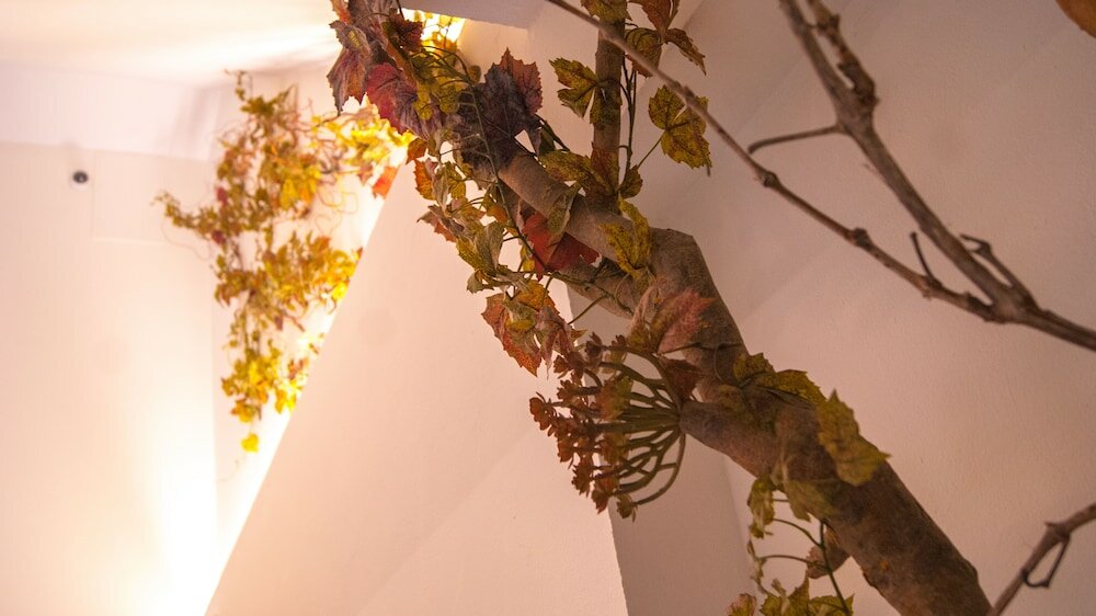 Фото Sweet Sevilla Suites