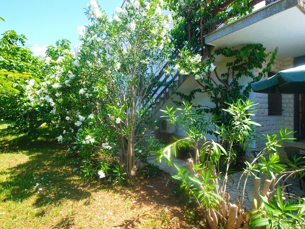 Фото Apartment 1669