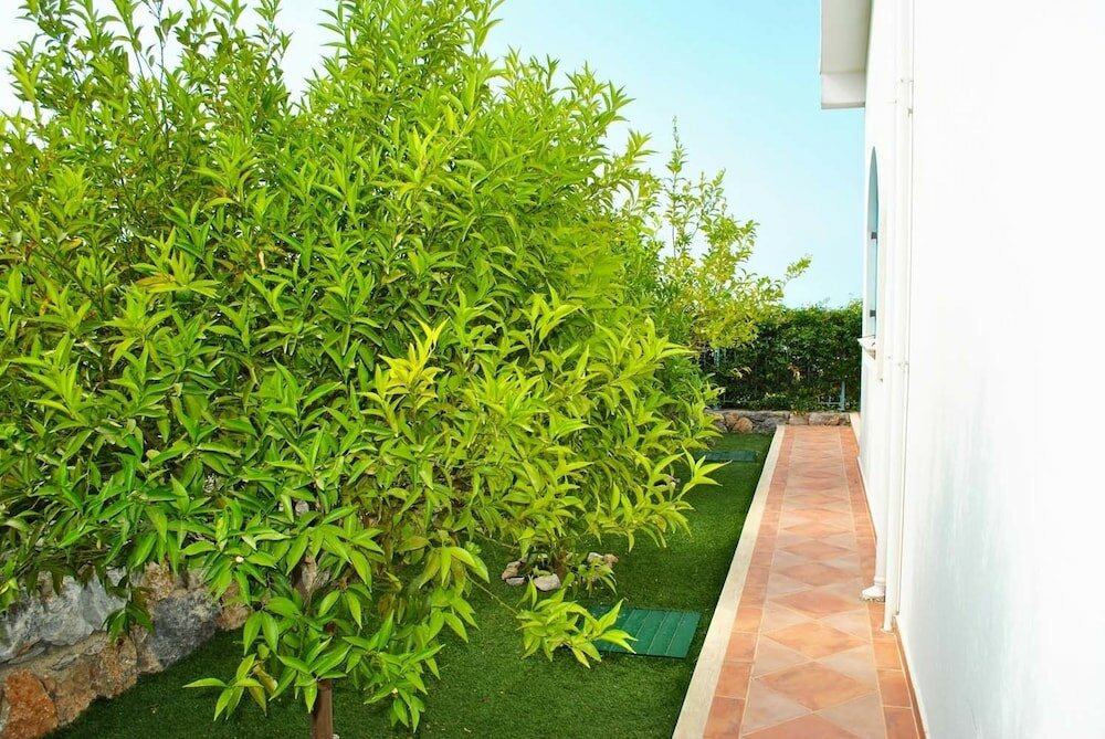 Фото Villa Alex by Amy Villas