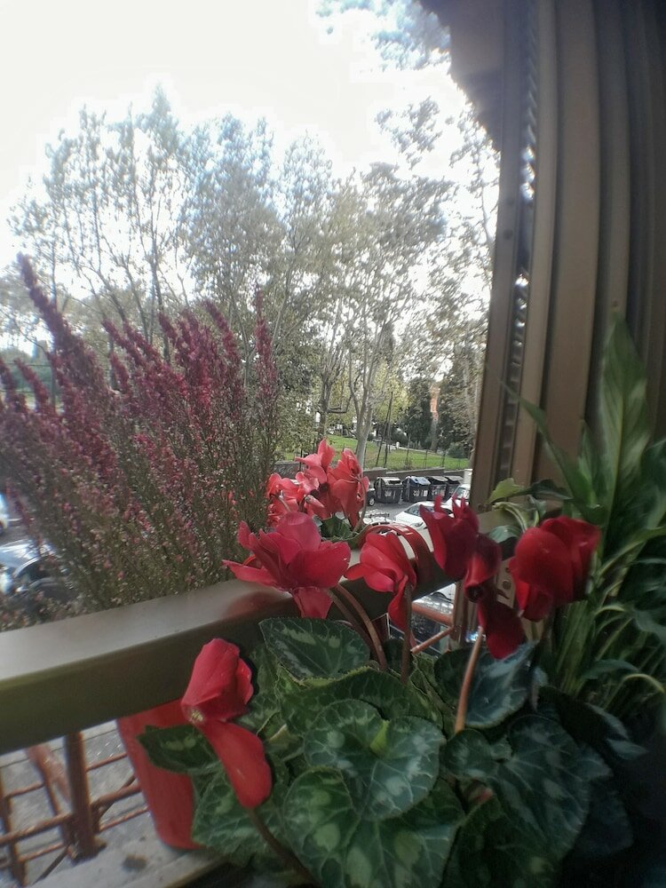 Фото Vesta Domus