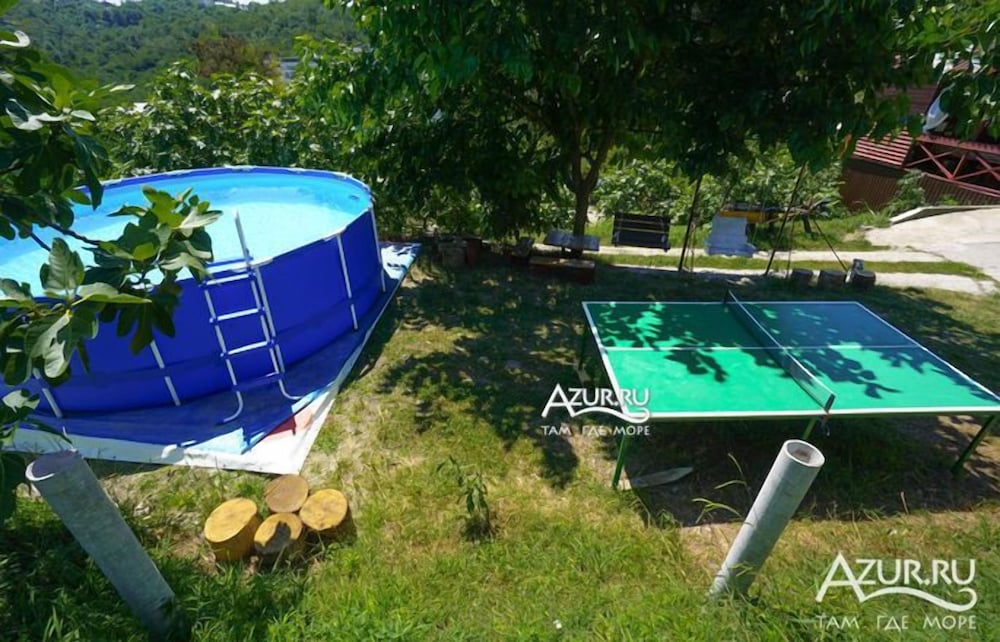 Фото Ласточка