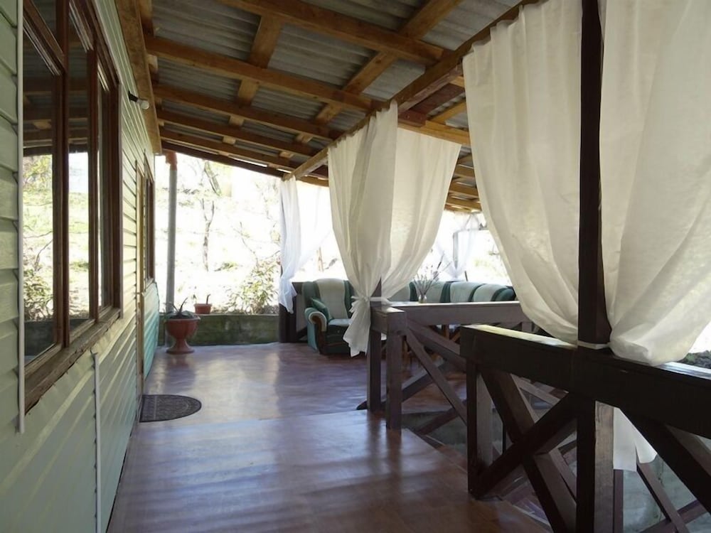 Фото Ласточка