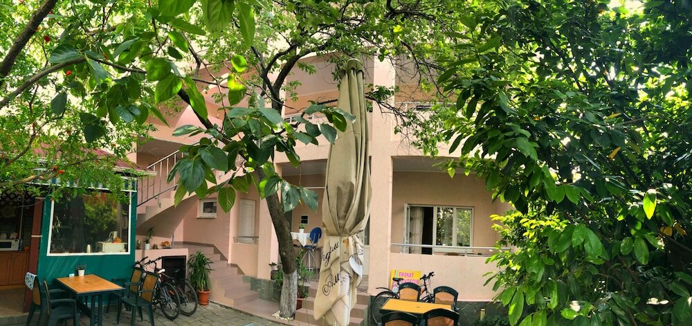 Фото Абрикос