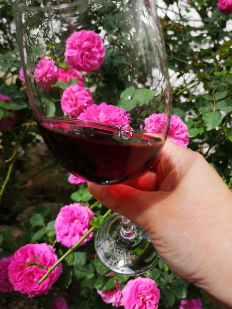 Фото Casa Rural El Llano Quintanilla