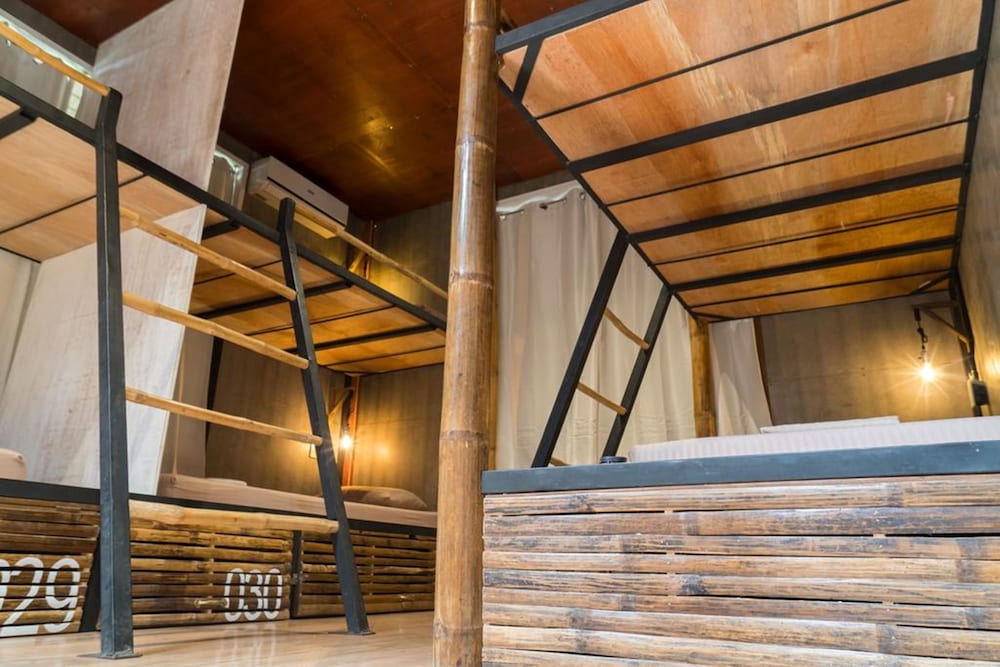 Фото The Flying Fish Hostel