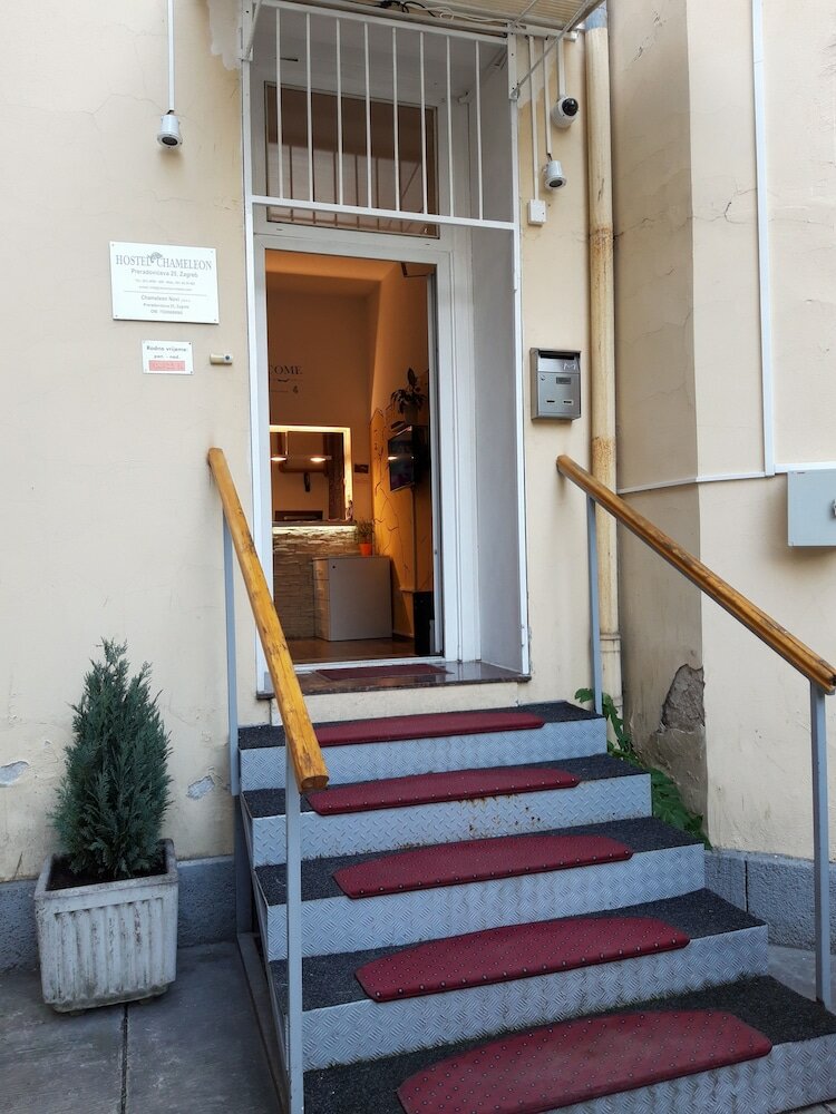 Фото Hostel Chameleon